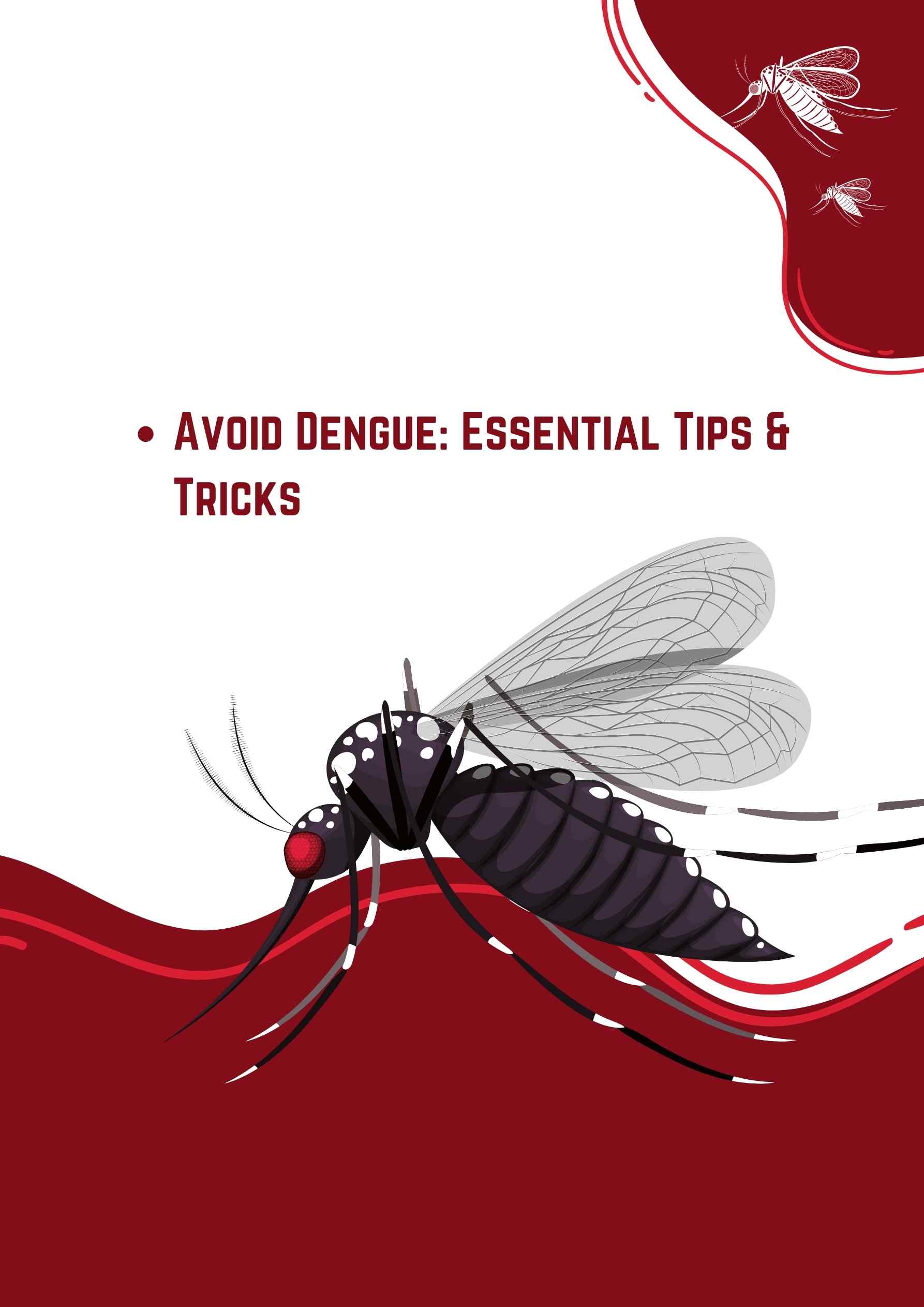 Avoid Dengue Essential Tips & Tricks_tipsforhits.com