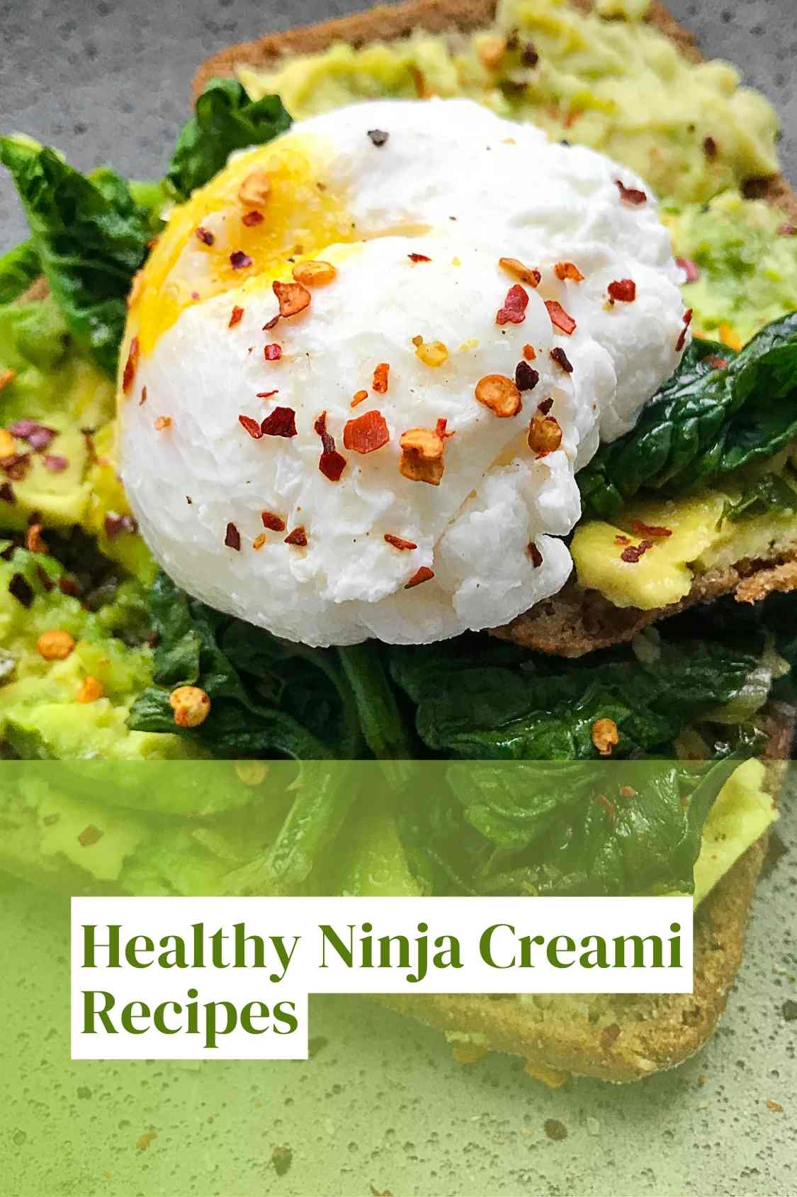 Healthy Ninja Creami Recipes_tipsforfits.com