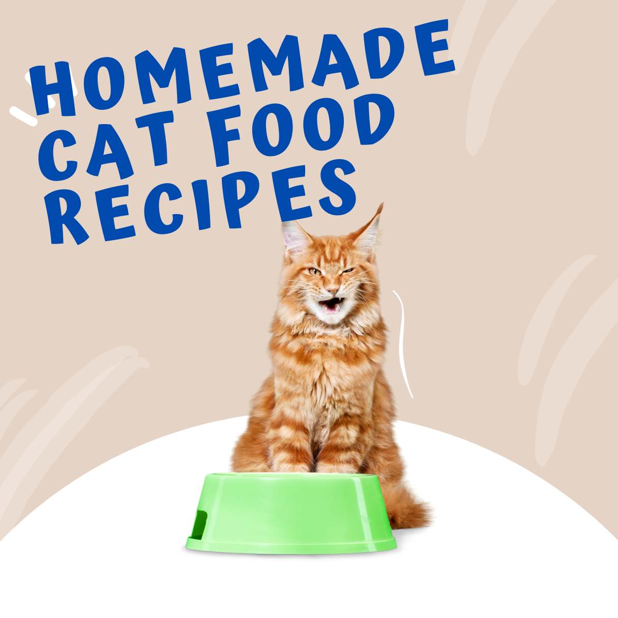 Homemade Cat Food Recipes_tipsforfits.com