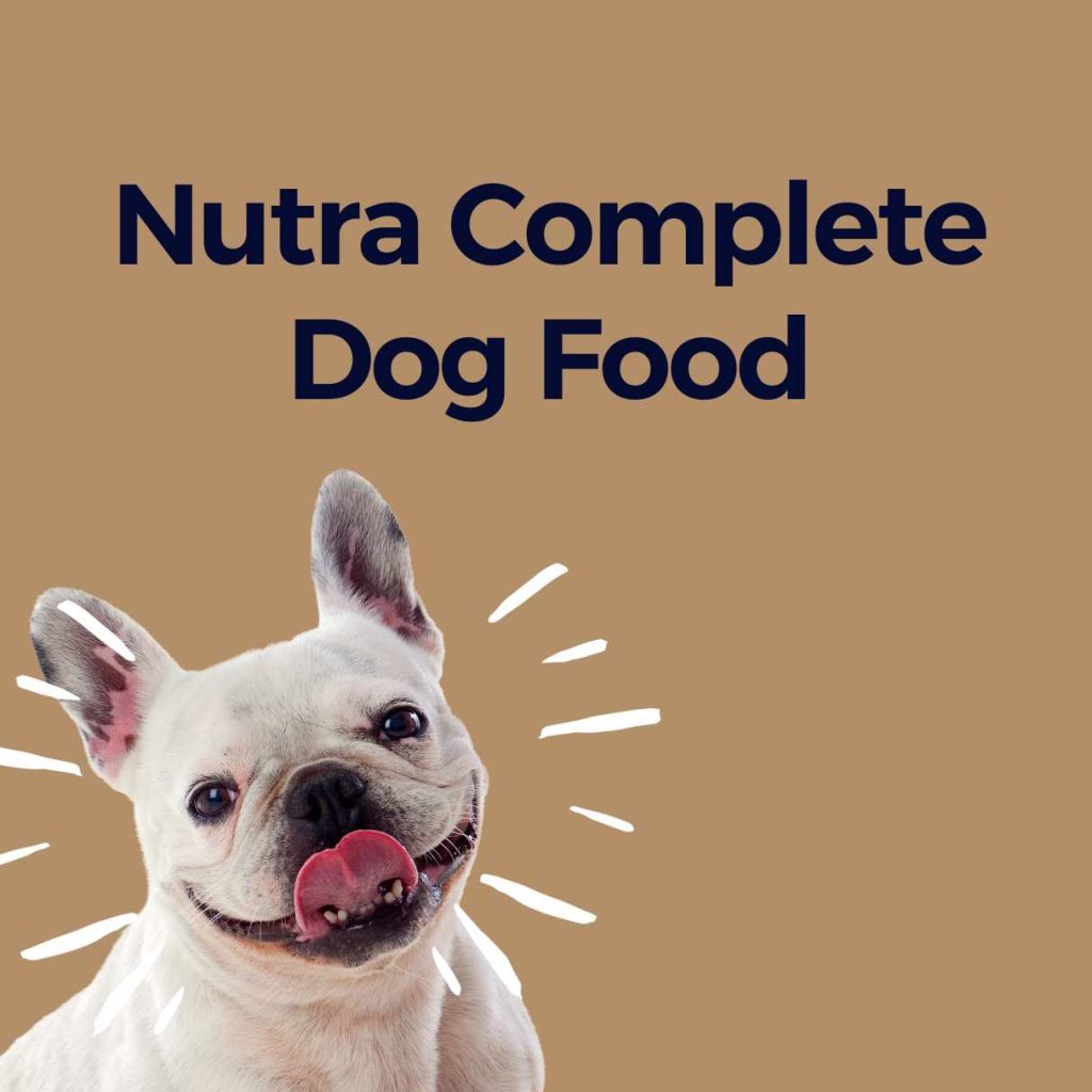 Nutra Complete Dog Food