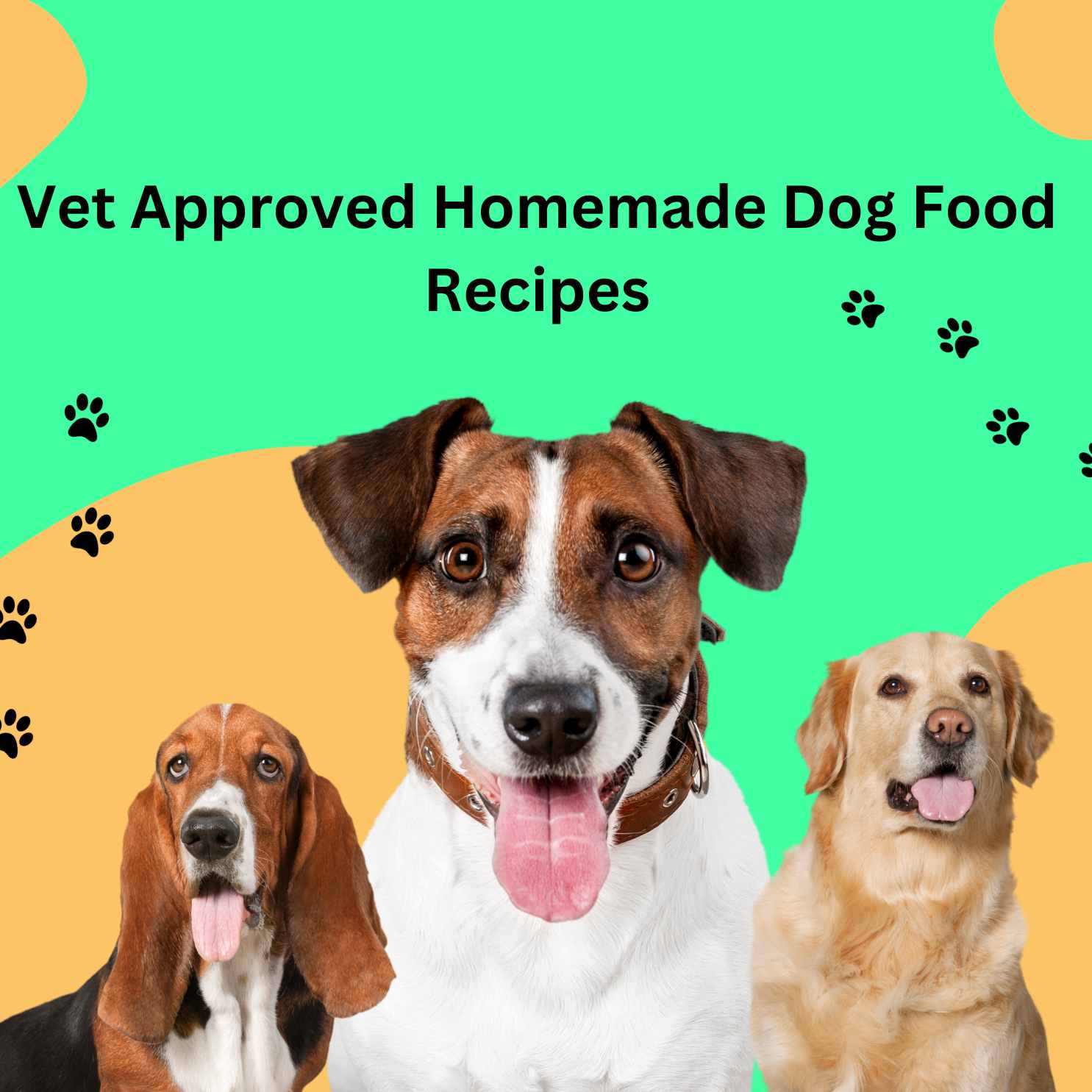 Vet Approved Homemade Dog Food Recipes for Kidney Disease_tipsforfits.com