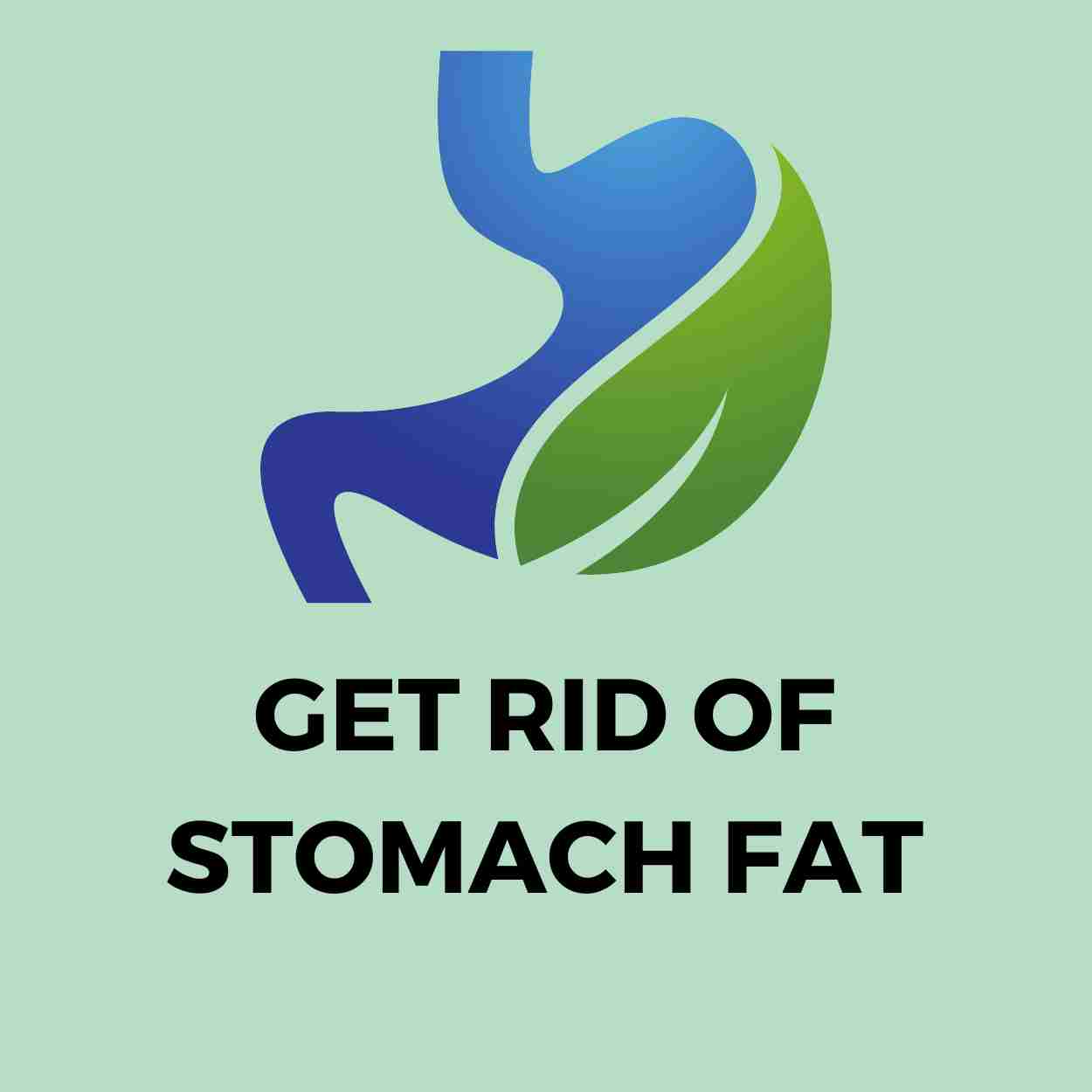 Get Rid of Stomach Fat Tips_tipsforfits.com